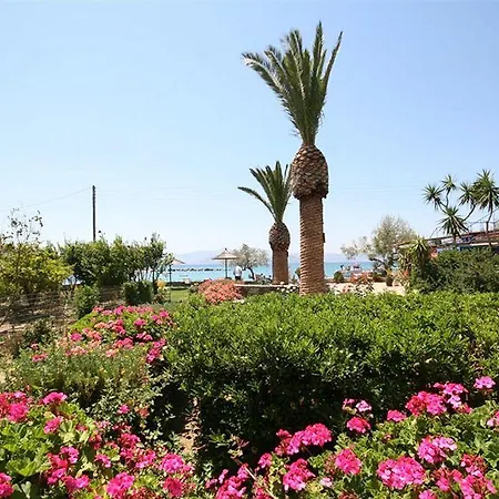 ホテル Agia Anna Beachfront Boutique