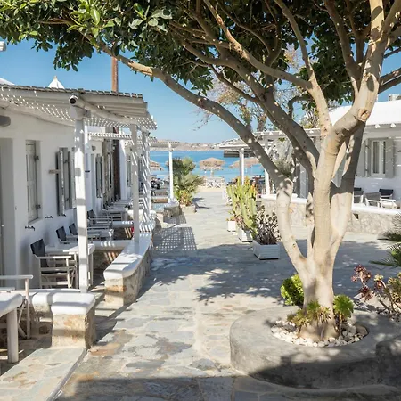 호텔 Agia Anna Beachfront Boutique 프라가