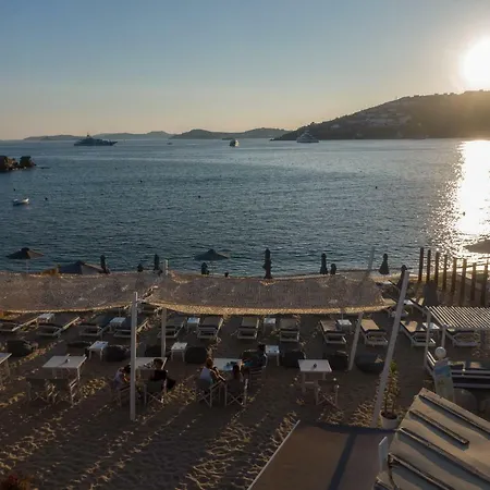 호텔 Agia Anna Beachfront Boutique 3*