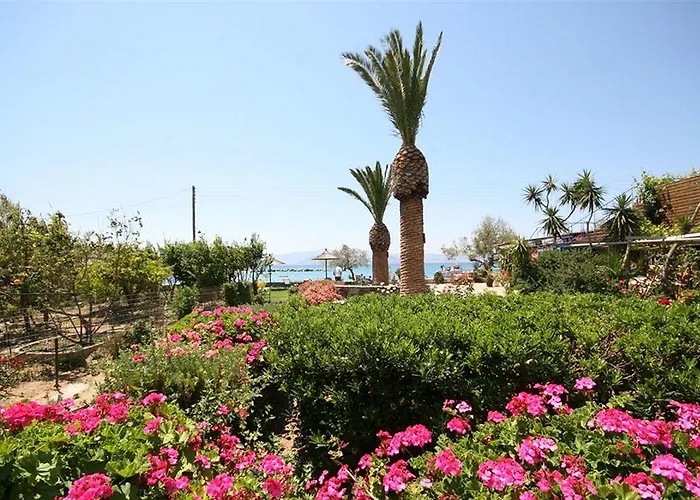 Hotell Agia Anna Beachfront Boutique