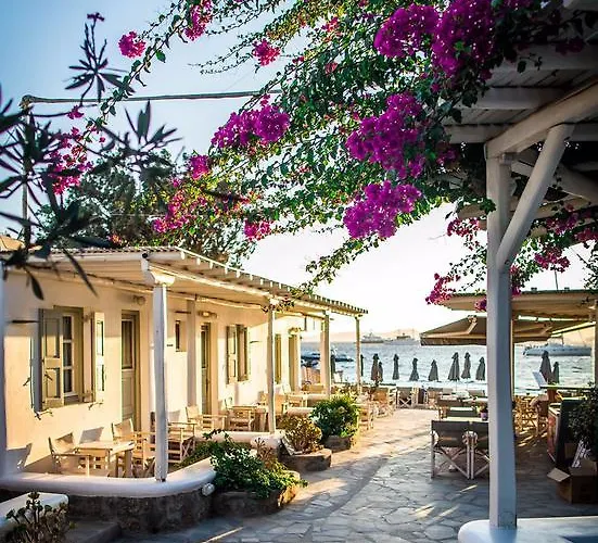 Agia Anna Beachfront Boutique パラガ