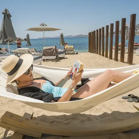酒店 Agia Anna Beachfront Boutique 帕瑞加